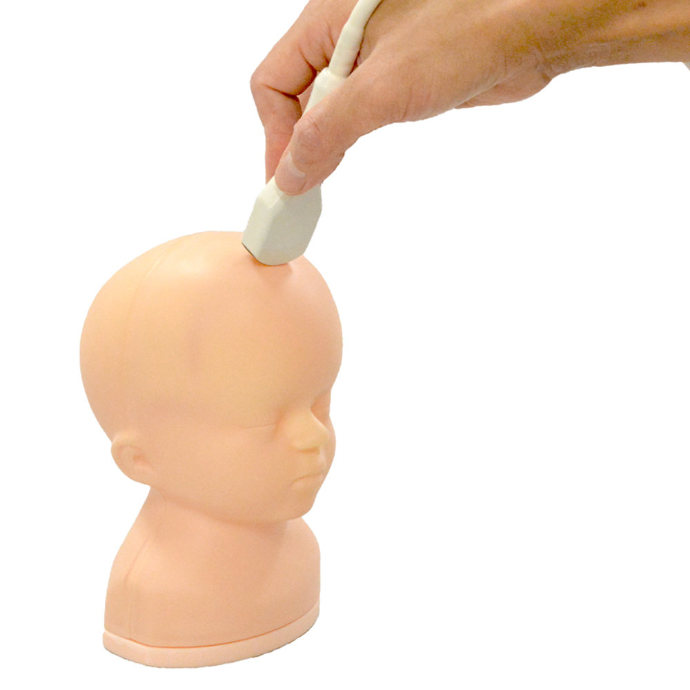 NEW in Ultrasound models