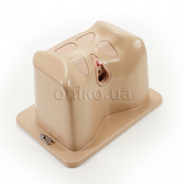Gynecology