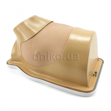 Left-Sided Video-Assisted Thoracoscopic Surgery Trainer for Explant Procedures