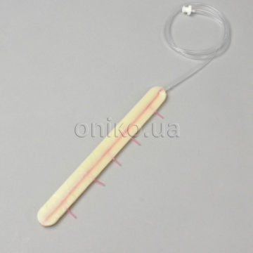 High Fidelity RIMA (Right Internal Mammary Artery)