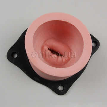 New Mitral Valve Prolapse Trainer