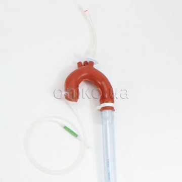 Replacement Cannulatable Aorta