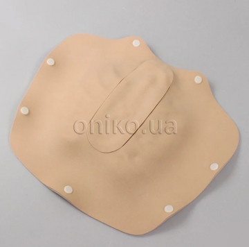 Retractable Re-Sternotomy Trainer