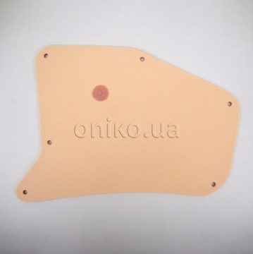 Skin for Left Chest of Thorax