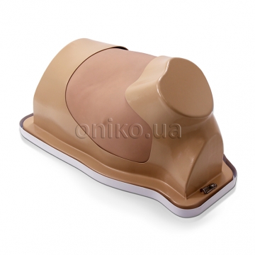 Video-Assisted Thoracoscopic Surgery Trainer with Mimetic Lung