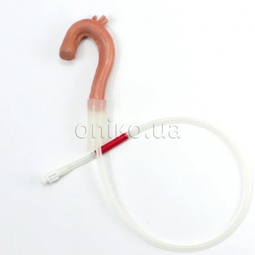 Surgical Sam Aorta