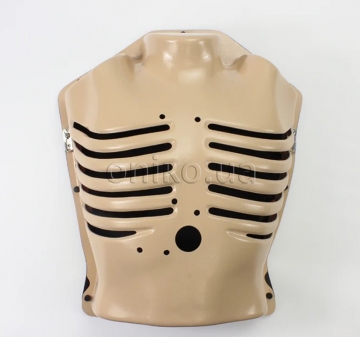 Thorax with Movable Ribs, Arms Up