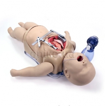 Pediatric Cardiothoracic Trainer SAM