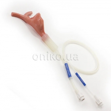 Surgical Sam Right Atrium