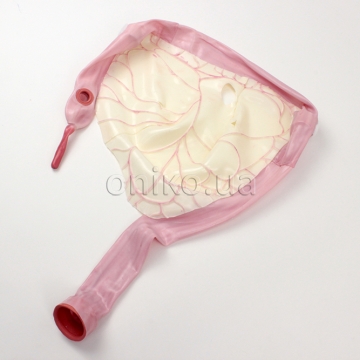 Compact AST Colon with Mesocolon Module