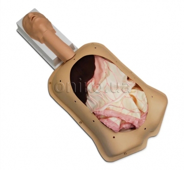 Advanced Abdominal Surgery Trainer Advanced AST with Advanced Organs