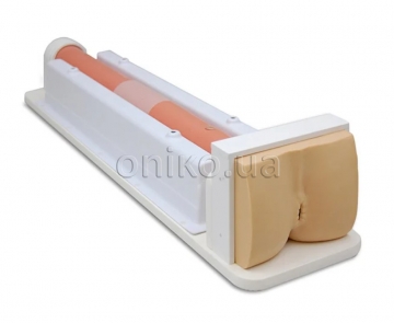 Colon Endoscopy Trainer