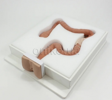 Colonoscopy Trainer