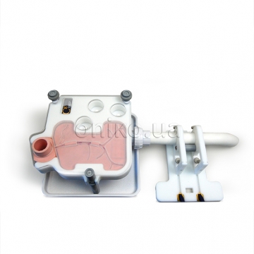 Endoscopic Retrograde Cholangiopancreatography (ERCP) Trainer