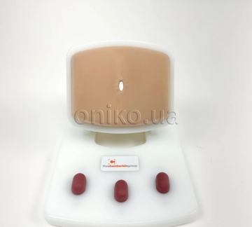 Hemorrhoidal Banding Trainer