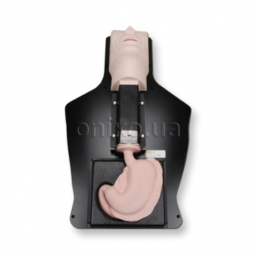 Upper GI Trainer