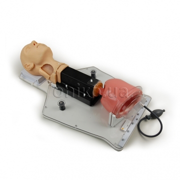 Gastroenterology