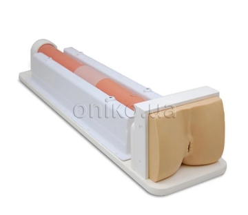 Colon Endoscopy Trainer