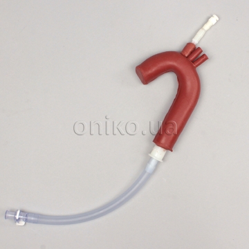 High-Fidelity Aorta