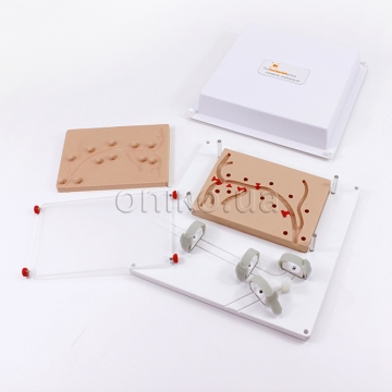 Biliary Endoscopy Trainer