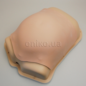 AST Advanced Laparoscopic Hernia Skin