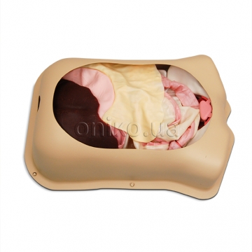 Abdominal Surgery Trainer AST with Original Organs