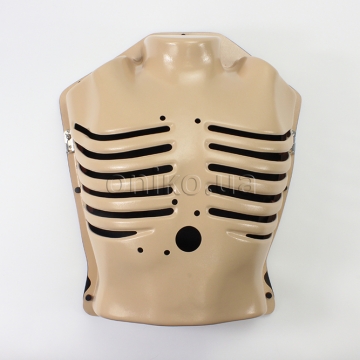Thorax Model with Movable Ribs (Arms Up)