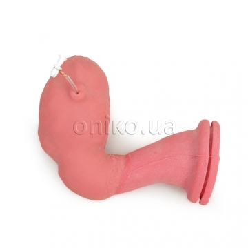 Uterine Surgery Trainer