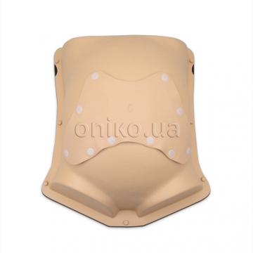 Pelvic Trainer Exterior Module