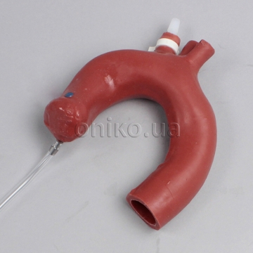 ECMO Aorta (Extracorporeal Membrane Oxygenation)