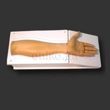 Endoscopic Radial Artery Trainer