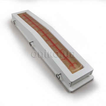 Clear Saphenous Vein Trainer Insert